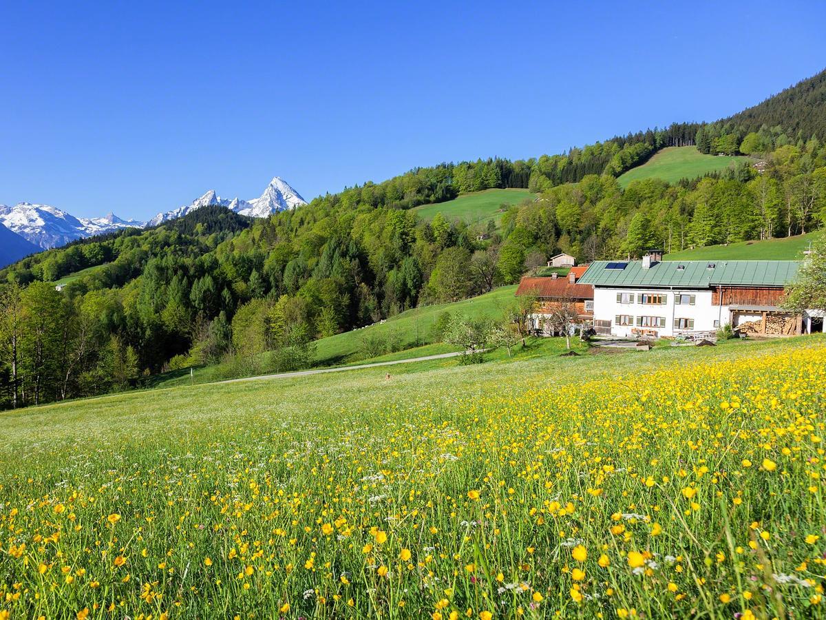 Farm stay Bauernhof Vorderstiedler *