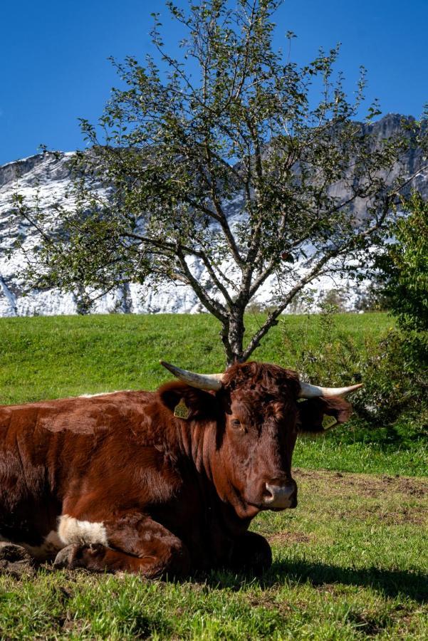 Bauernhof Vorderstiedler Vakantieboerderij *